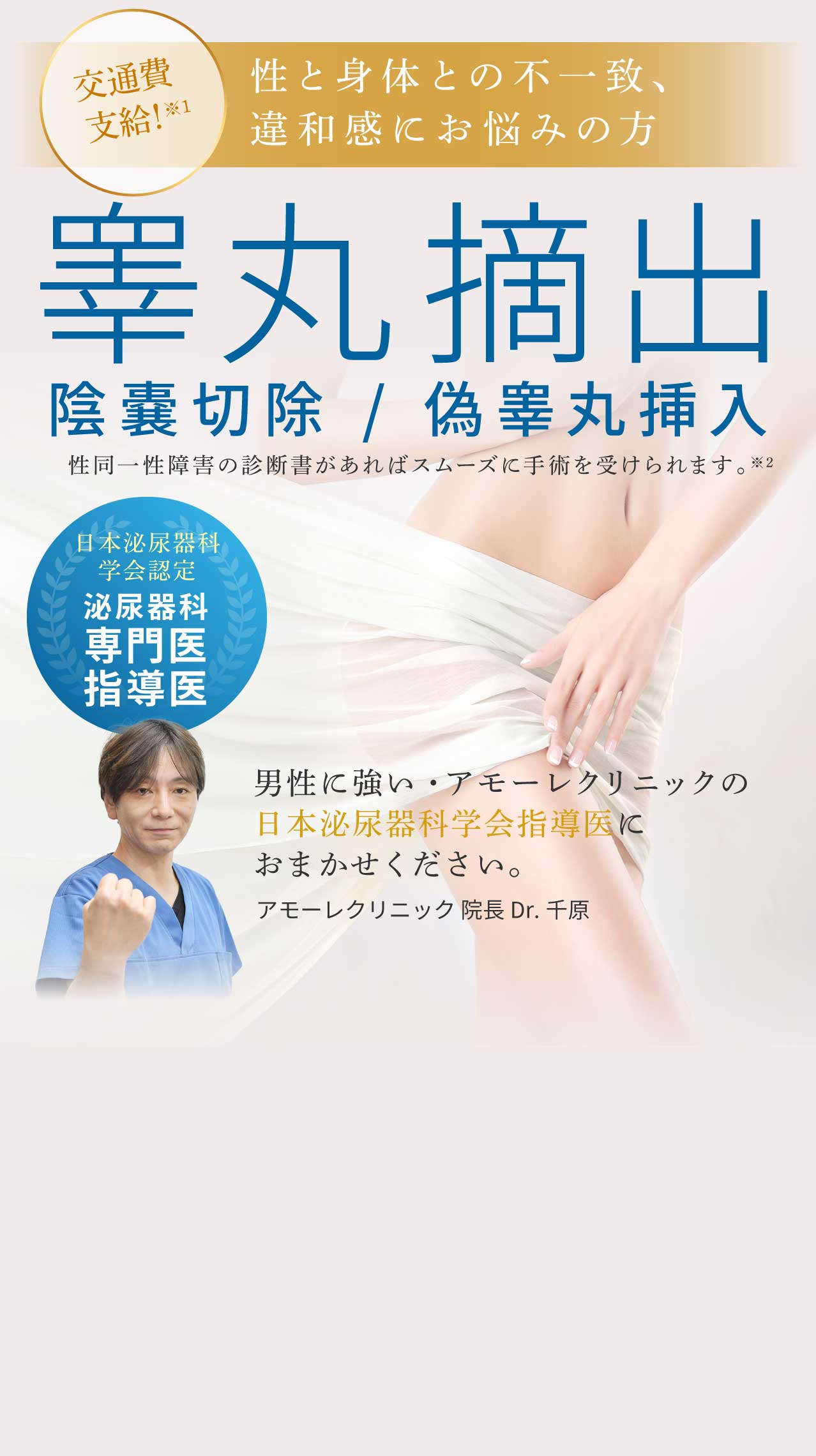 睾丸摘出 陰嚢切除 偽睾丸挿入 名古屋のamore Clinic アモーレ